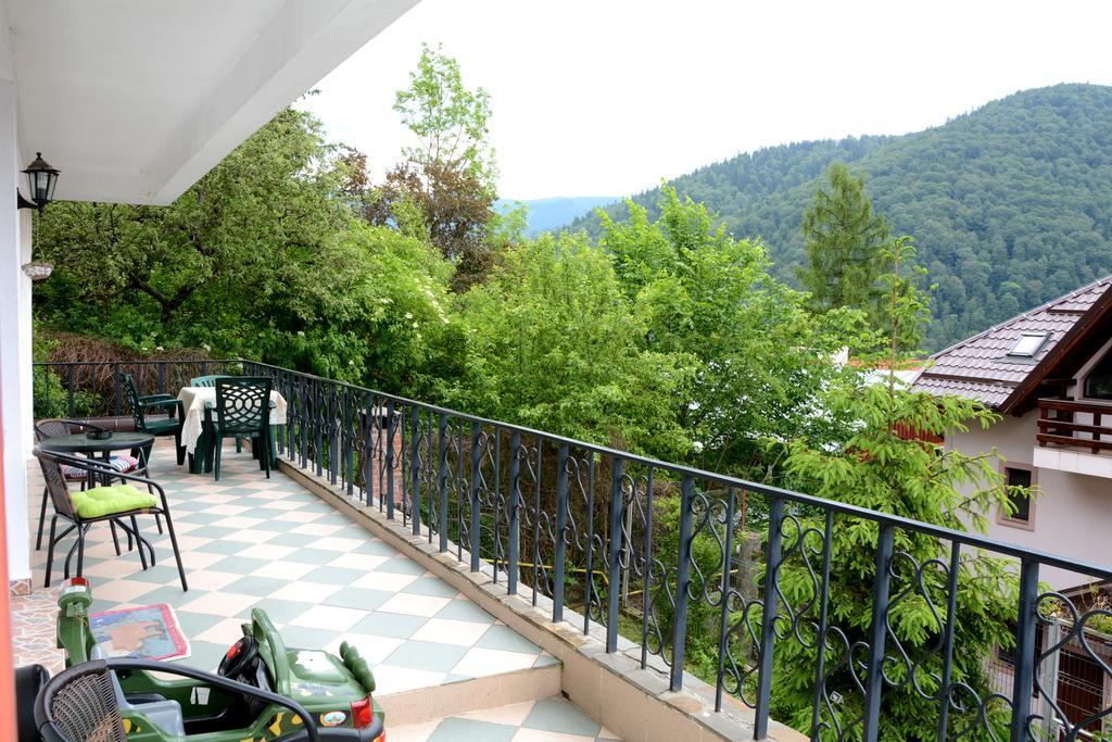 Casa Ana Sinaia