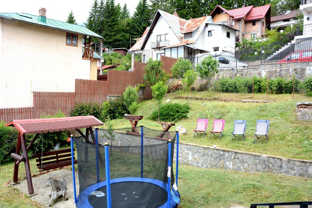 別墅 Casa Ana Sinaia